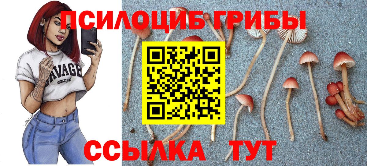 Галлюциногенные грибы Cubensis  Галлюциногенные грибы Cubensis  Берёзовский  Вход с VPN 