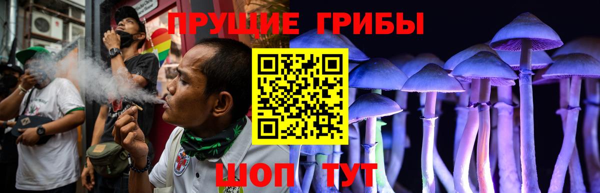 Галлюциногенные грибы Cubensis Берёзовский